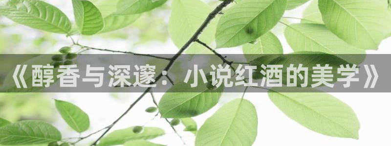 纵横中文网 中文网：《醇香与深邃：小说红酒的美学》