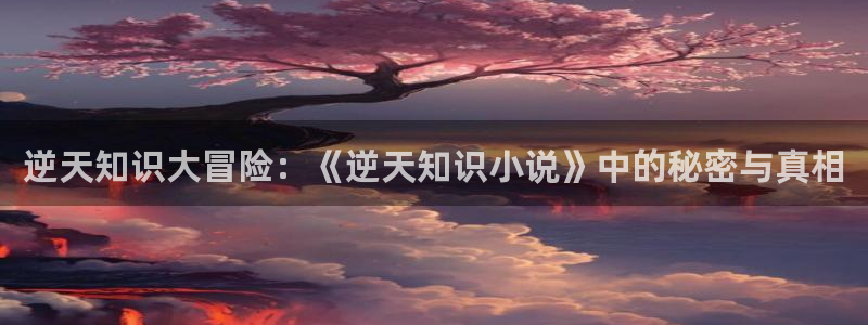 纵横中文网中文网股票：逆天知识大冒险：《逆天知识小说》中的秘密与真相