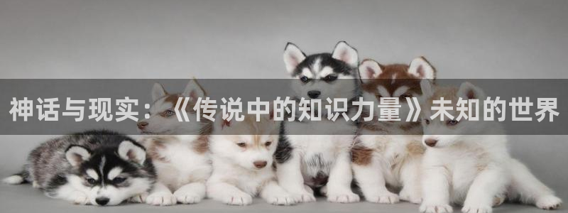 起点中文网和纵横中文网中文网哪个好：神话与现实：《传说中的知识力量》未知的世界