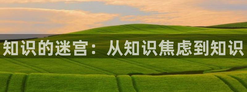 小说纵横中文网中文网：知识的迷宫：从知识焦虑到知识